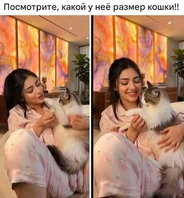 Забавные и не очень скромные картинки-38