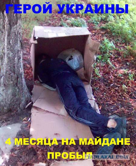 Началось. Осторожно, в видео присутствую майдауны.