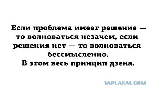 Смешные картинки с подписями 2