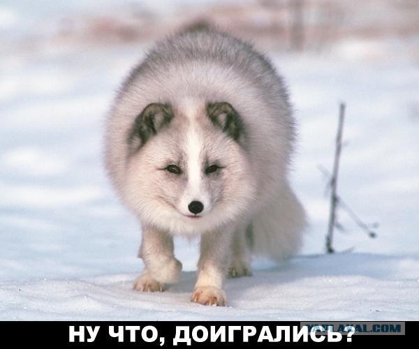 Украинская армия перешла в наступление