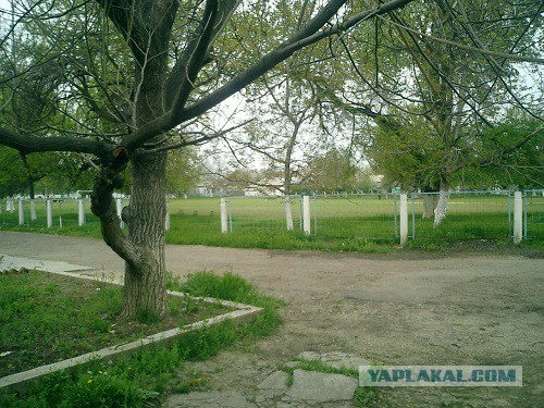 Узбекские мифы