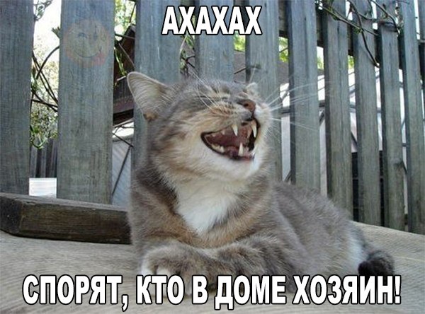 Картинки и демотиваторы