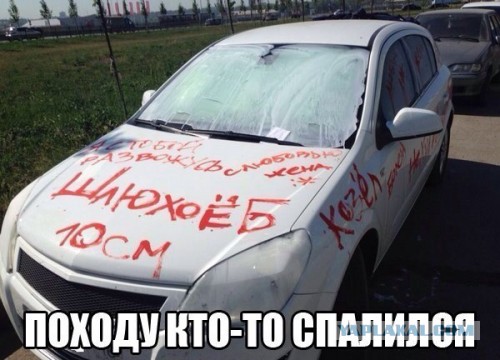 Подборка картинок из сети