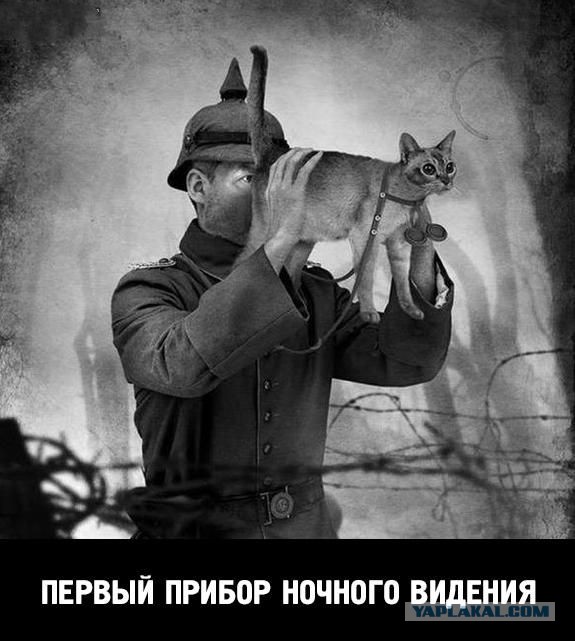 Самая пугающая, непривычная и зловещая униформа в истории