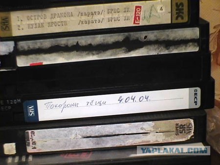 Интересные и веселые картинки