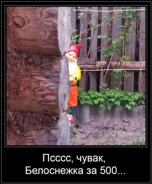 Подборка интересных и прикольных картинок