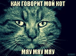 Туалетный хулиган