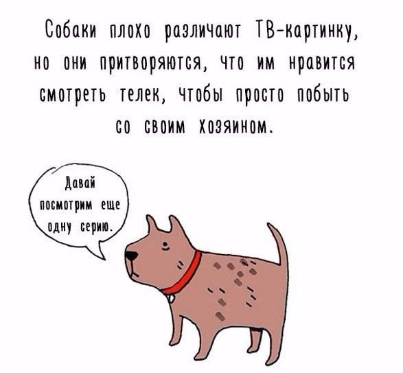 Подборка интересных и смешных картинок