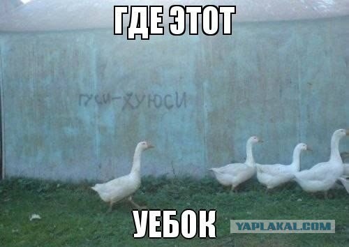 Она же только хотела помочь!