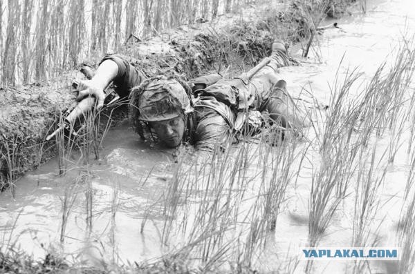 Фото с Вьетнамской войны