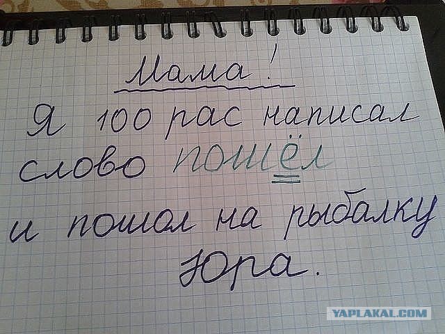 Проверяя задания, учителя плакали от смеха…