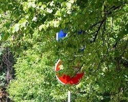 ТП в естественной среде обитания.