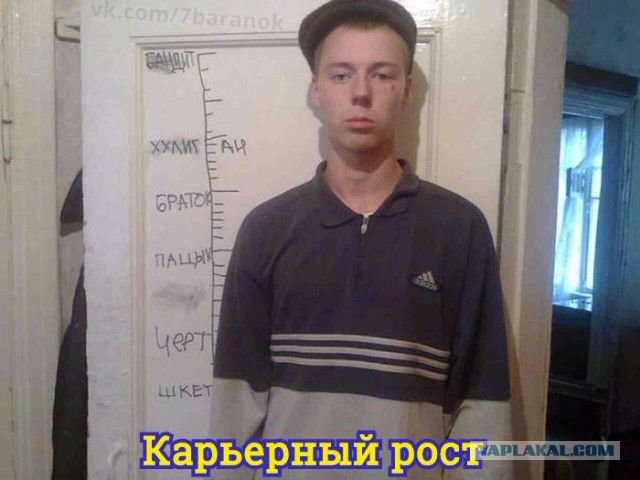 Журнал школьный деградант