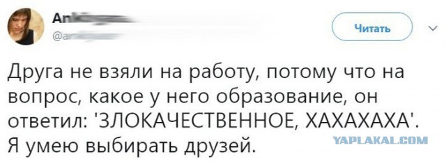 Субботнее веселье тёмных сил