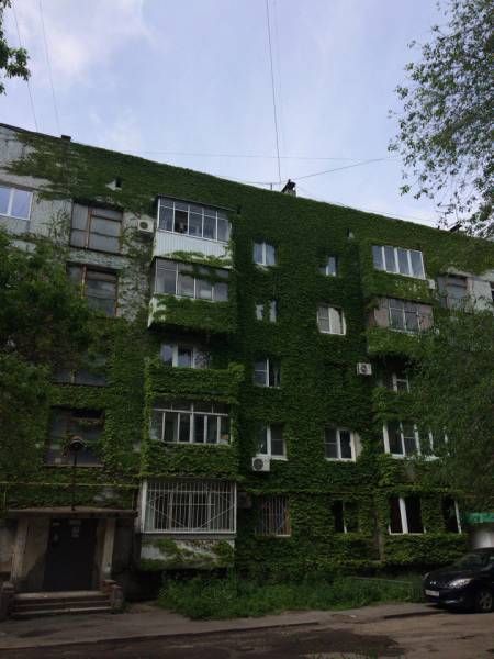 Подборка интересных и веселых картинок