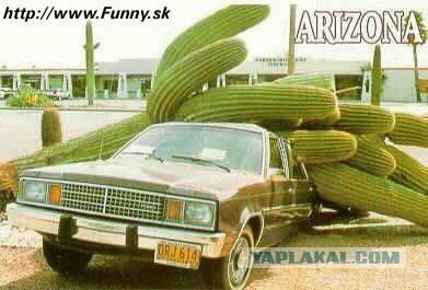 ДТП, аварии, крушения (коллекция)