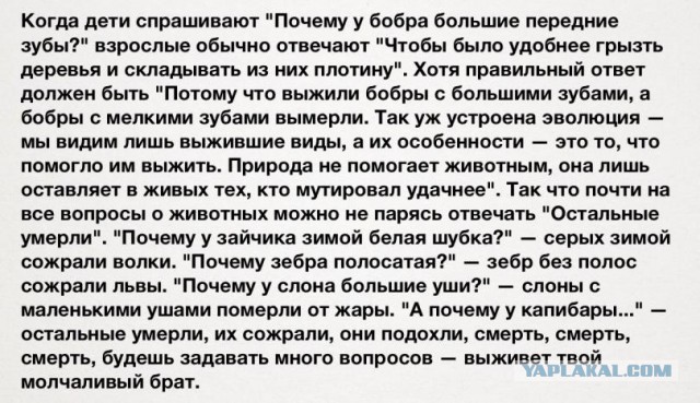 Министр образования Индии против эволюции