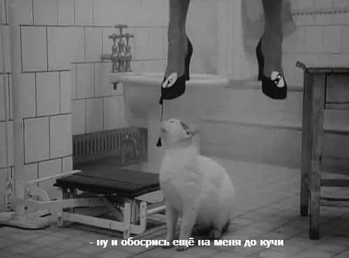 Немного картинок на вечер пятницы