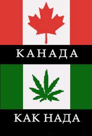 Первая в G7: Парламент Канады проголосовал за  легализацию марихуаны