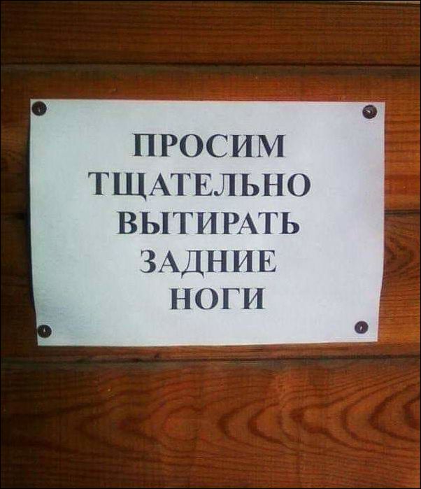 Непростое это дело - возвращаться с прогулки