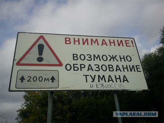 Бабки расскажут