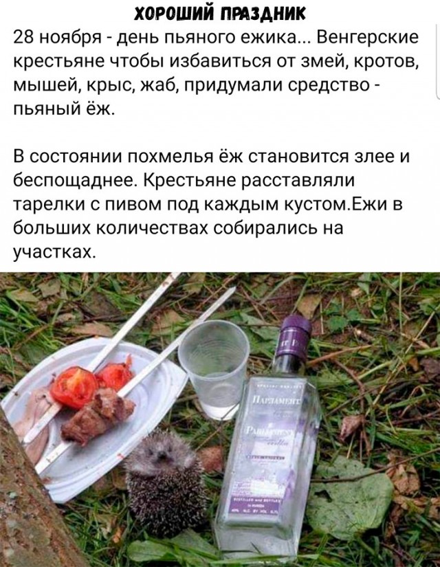 Картинки ниАчем