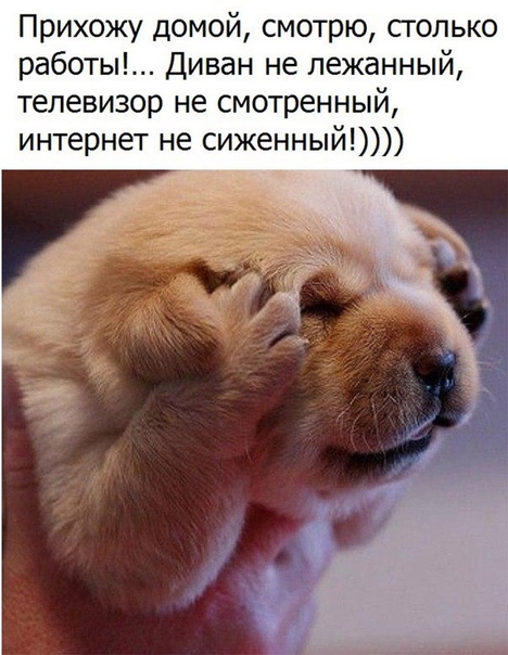 Немного картинок для настроения 17.01.20