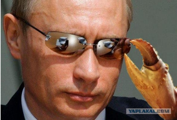 Путин выступил против однополых браков в России