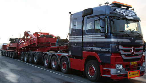 В Германии, в Нижней Саксонии уронили при перевозке большую непонятную штуку