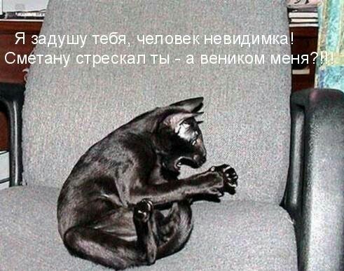 Хвостатые—усатые