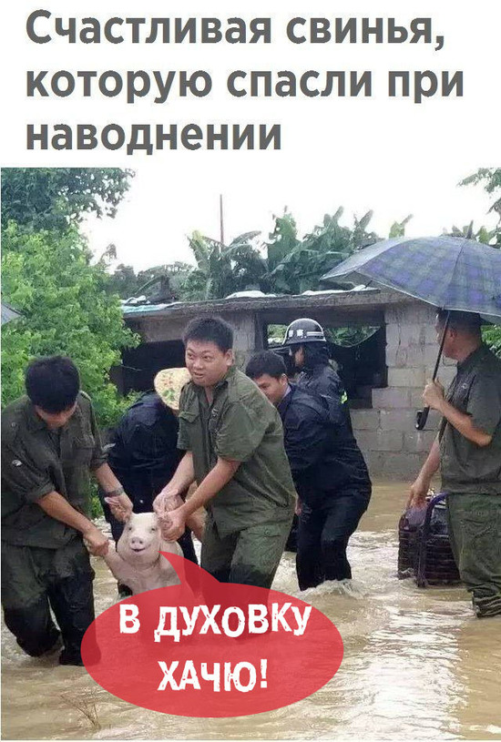 Чуток картинок 02.04.20
