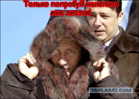 Как продать дубленку во время кризиса