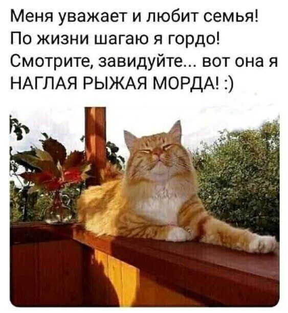 Фотки и картинки: юморные и красивые, забавные и милые 16.11.20