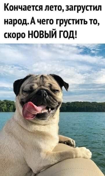 Веселые истории о нас №237