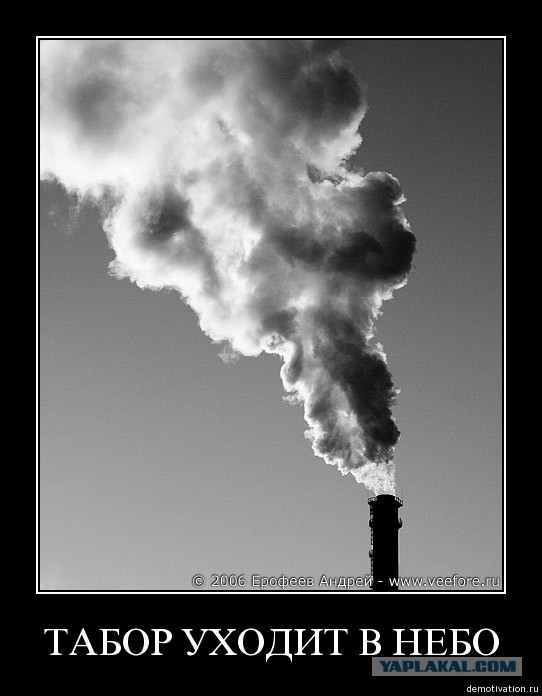 Правительство РФ займется улучшением имиджа цыган