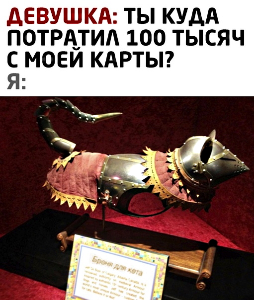 Картинки с надписями и котами
