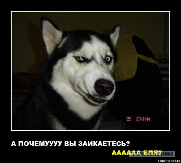 Звонок в МВидео