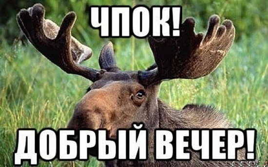 Битва за перестарок или на сколько мужики перестали себя ценить