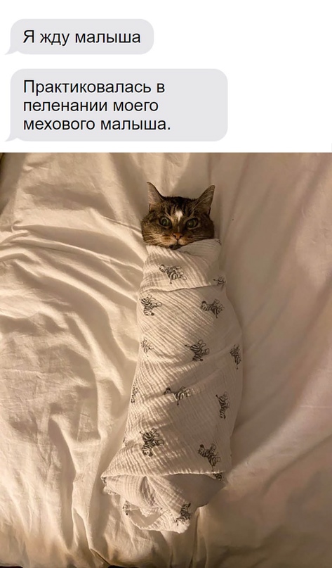 Картинки и мемы для настроения 21.12.21