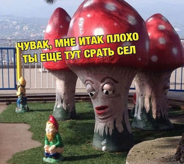 Будем посмотреть картинок