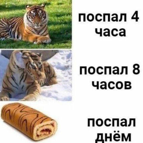 Подборка картинок из загруженного в сети