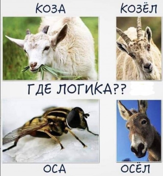 Так себе картинки 23.04.22