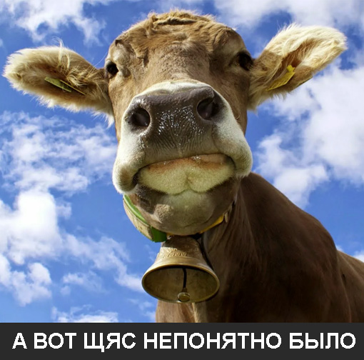 Нигерийское шоу Cowbellpedia, которое нацелено на продвижение изучения математики и получение образования в целом