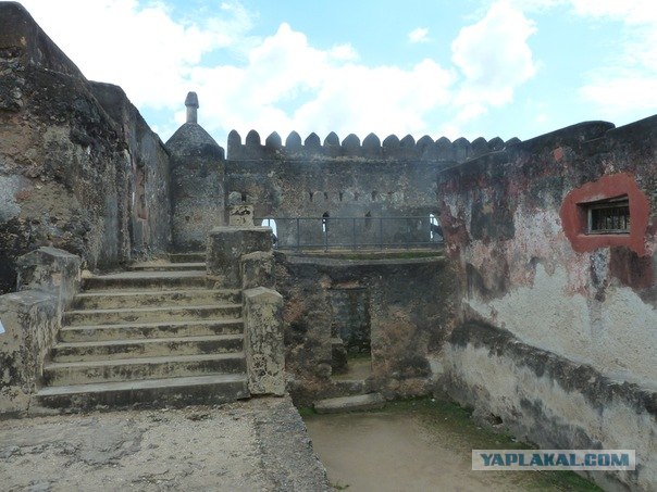 AFRICA - (Эфиопия,Кения,Танзация) 4-16 ноября 2011