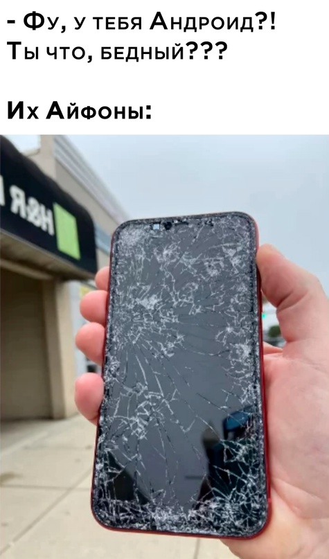 Весёлый полтишок 31.01.23