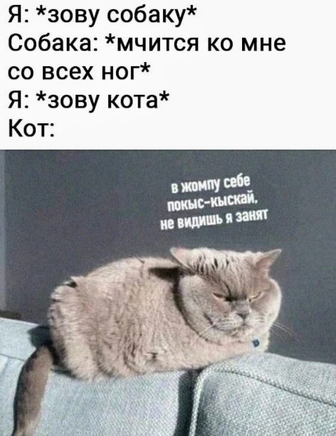 Картинки и мемы, всем хороших выходных