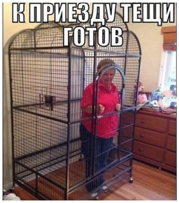 Тёща хочет построить курятник в квартире