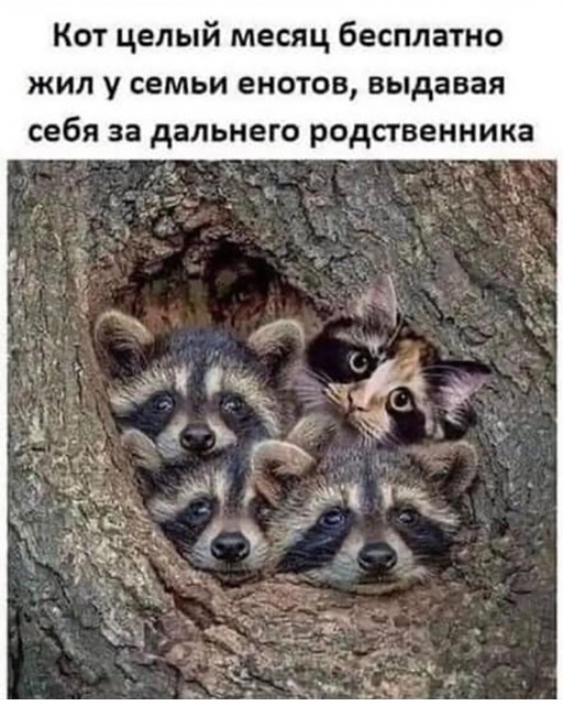 Завершаем рабочую неделю под бояны