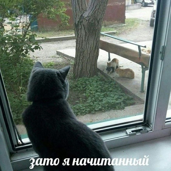 Почему женщины-соседки так привлекают соседей-мужчин?
