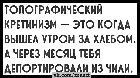 Весёлый полтишок 20.09.23
